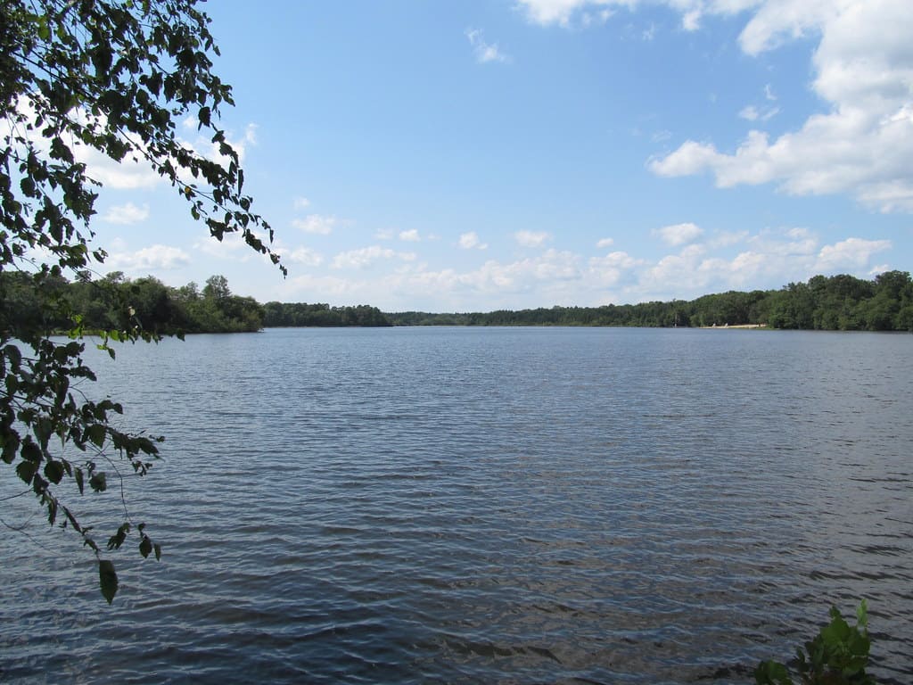Parvin State Park in New Jersey
