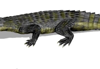 Phytosaurs Picture