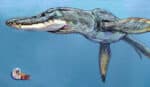 Pliosaurids
