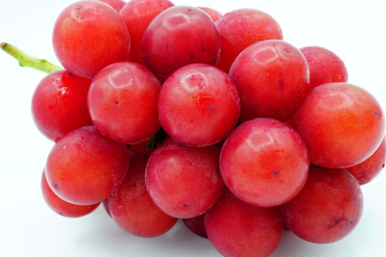 ruby roman grapes on white background