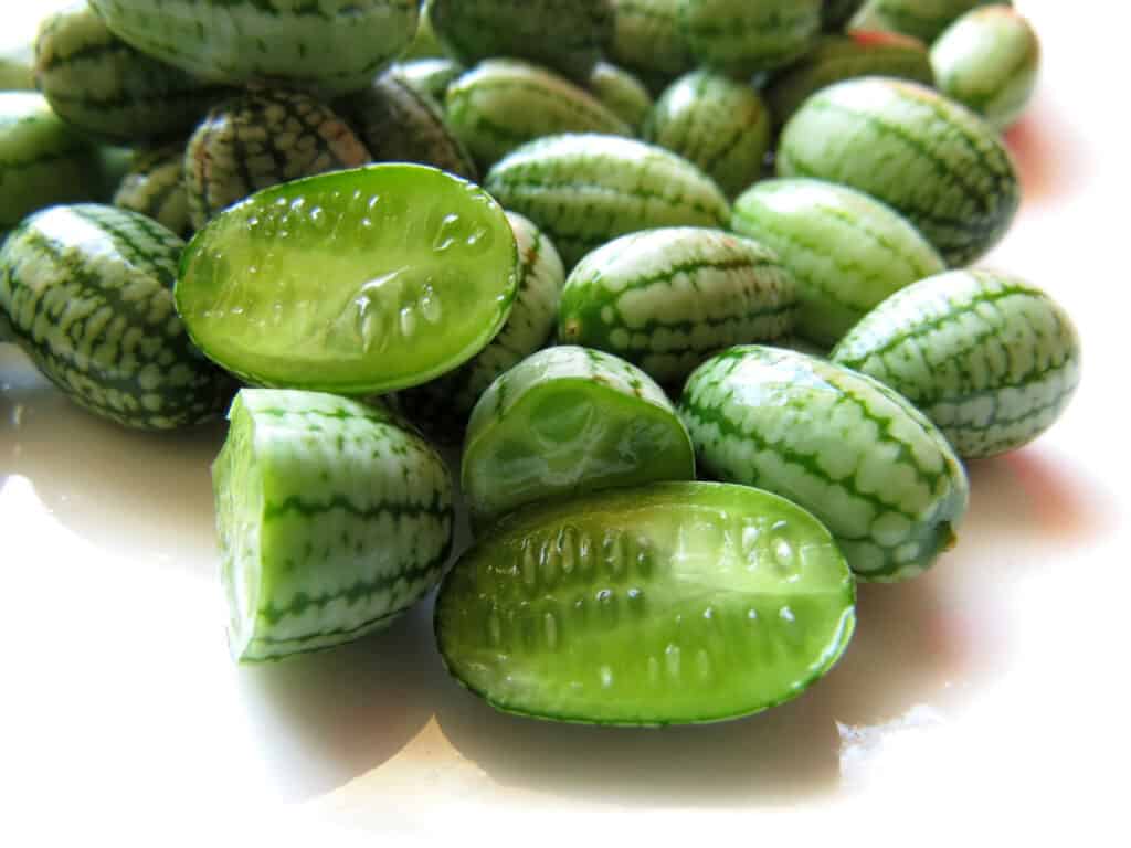 Cucamelon Seeds