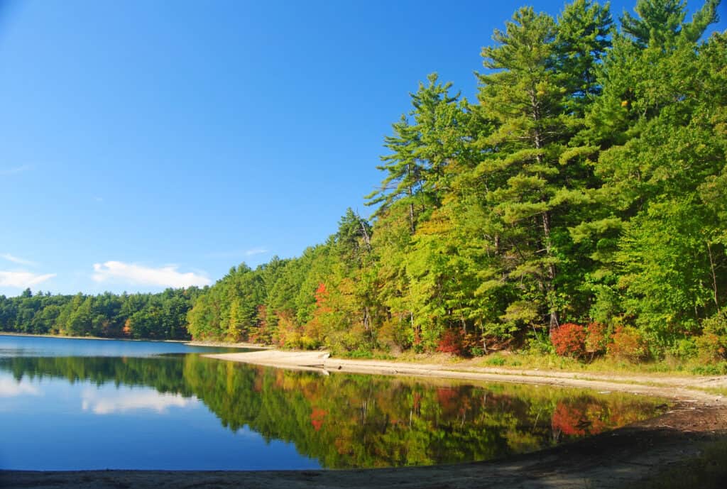 Walden Pond in Concord Massachusetts