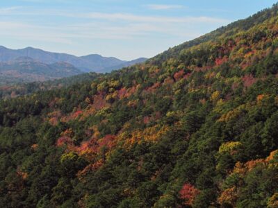 A The 8 Best Spots for Leaf Peeping in Arkansas: Peak Dates, Top Driving Routes, and More