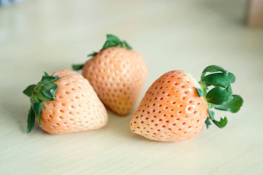 White Jewel Strawberries