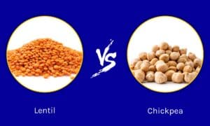 Lentil vs Chickpea: What Are Their differences? Picture