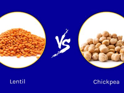 A Lentil vs Chickpea: What Are Their differences?