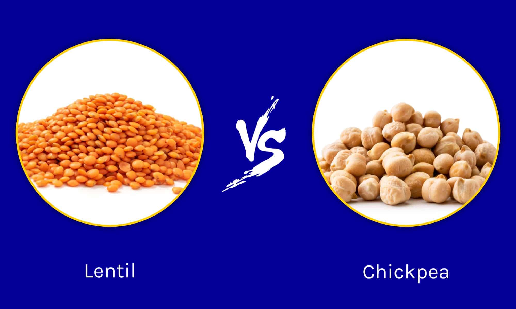 Lentil Vs Chickpea What Are Their Differences A Z Animals