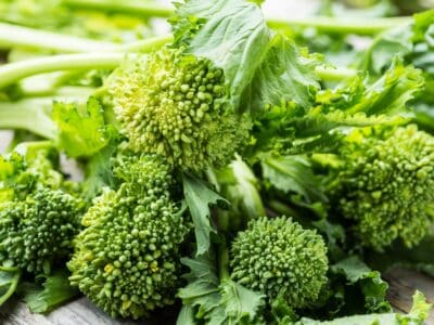 A Broccoli Rabe vs. Rapini: Is There A Difference?