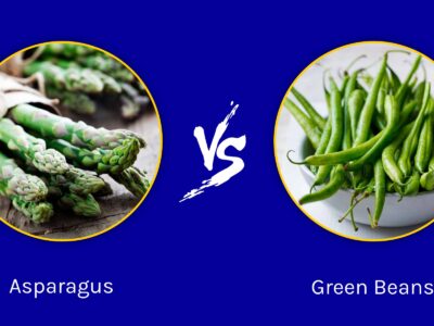 A Asparagus vs Green Beans: What Are The Differences?