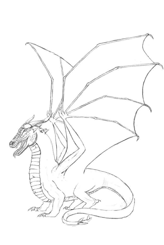 outline drawings of dragons