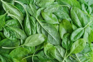 Spinach vs. Lettuce Picture