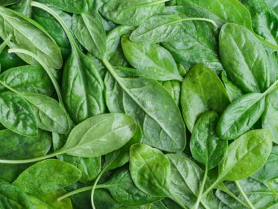 A Spinach vs. Lettuce
