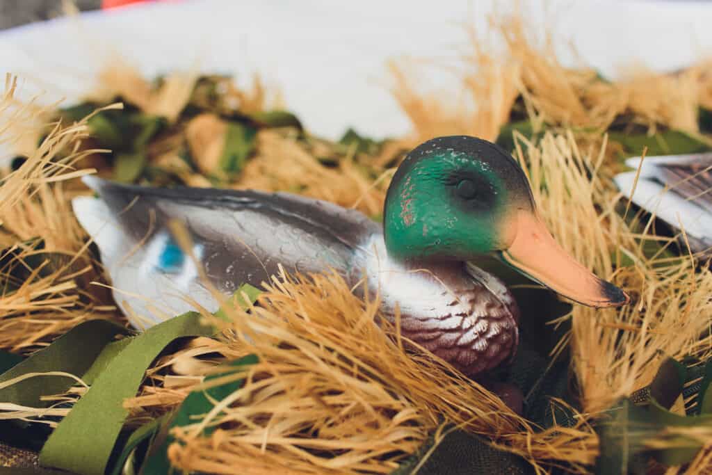 Mallard duck decoy