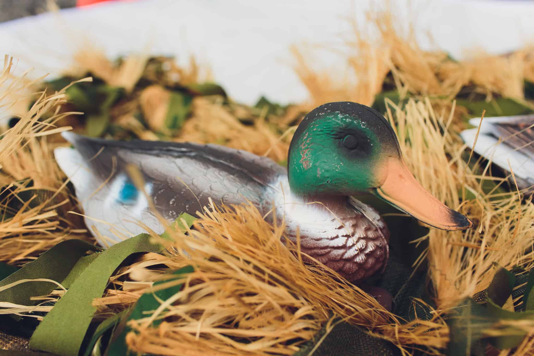 Duck Hunting Season in Louisiana Season Dates, Bag Limits, and More