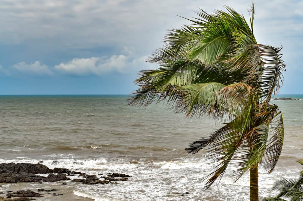 Cyclone, Monsoon, El Nino, Beach, Rough