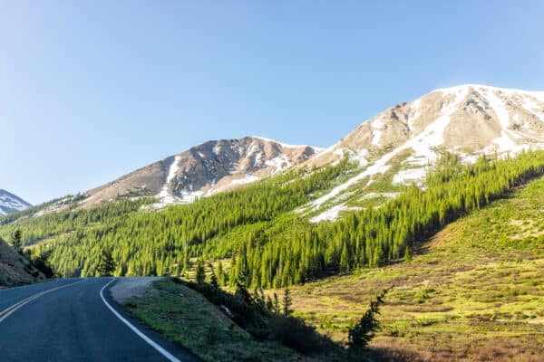 Meet the 6 Largest Landowners in Colorado - A-Z Animals