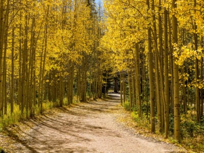 A 10 Places Where Fall Foliage is Peaking in Colorado