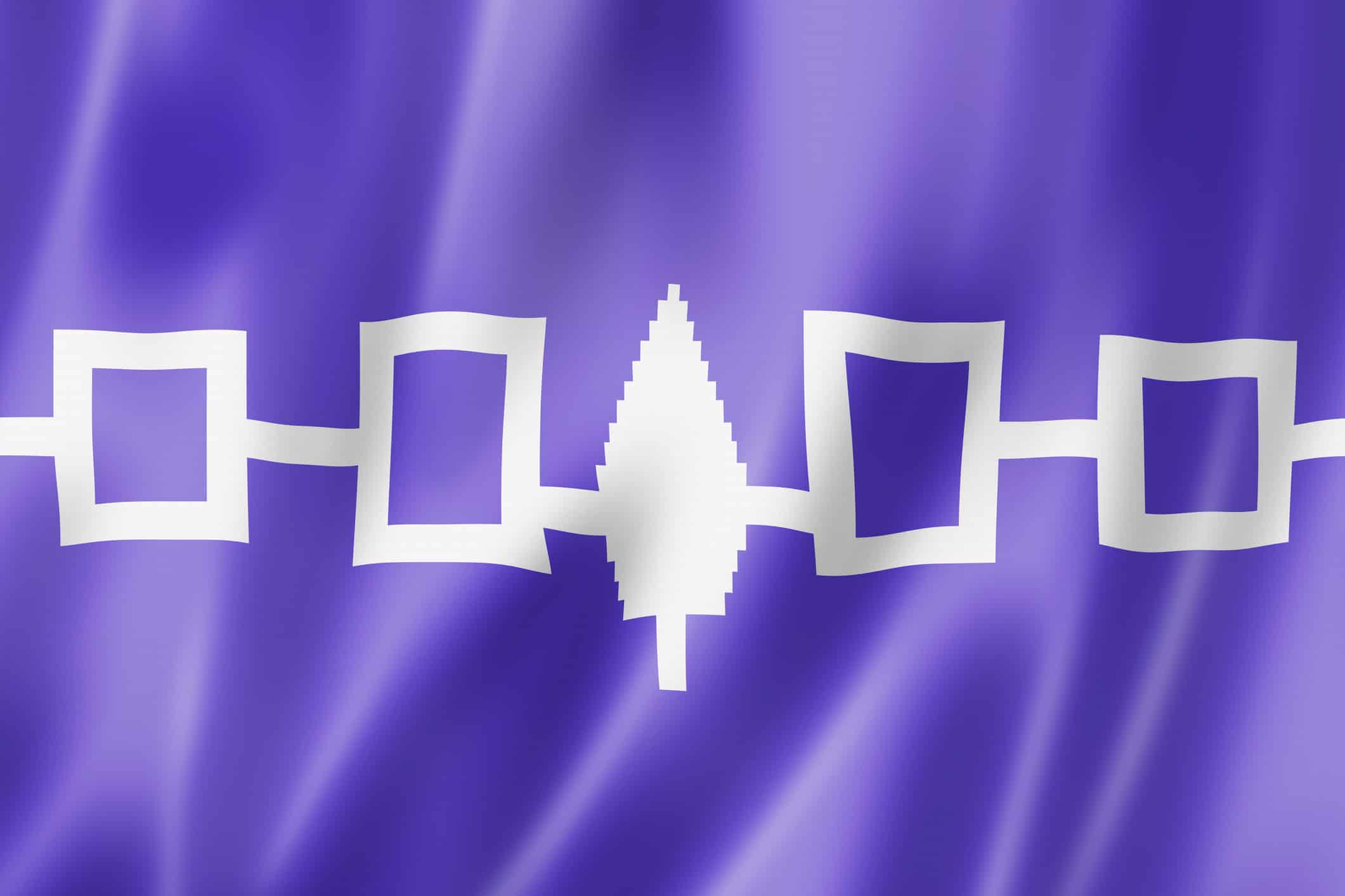 iroquois flag