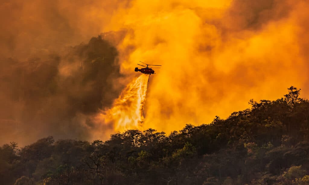 Forest Fire, California, Fire - Natural Phenomenon, Helicopter, Burning