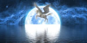 Unicorn Spirit Animal Symbolism & Meaning Picture