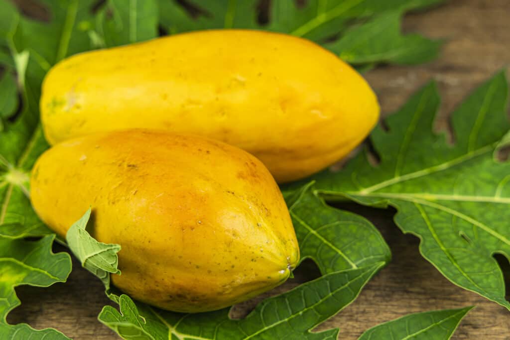 Whole papaya fruit