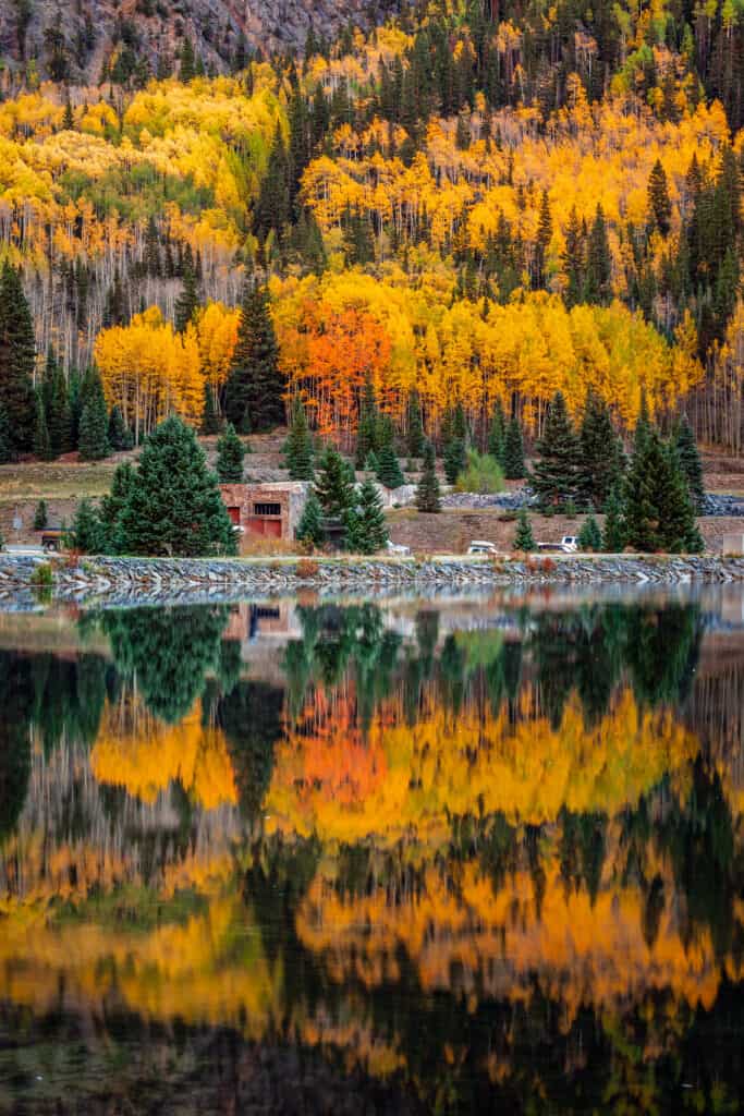 Best spots for leaf peeping in Colorado: Aspen tree leaves at the Million Dollar Highway in Colorado.