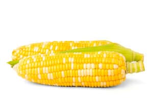 Hominy Plant vs. Corn Picture