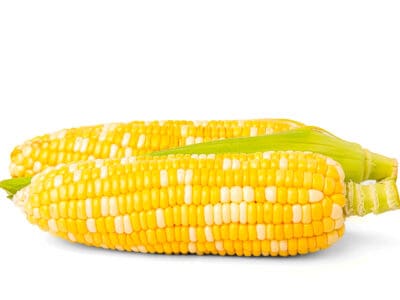 A Hominy Plant vs. Corn