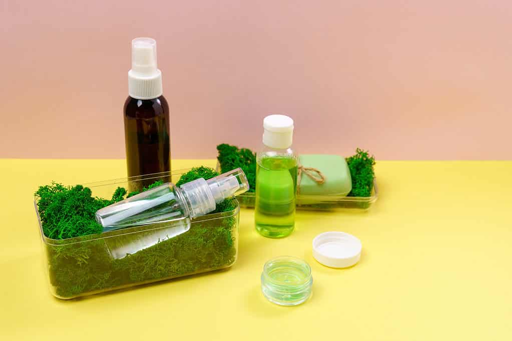 Sea moss and ingredients for skin care, including soap, and lotion.