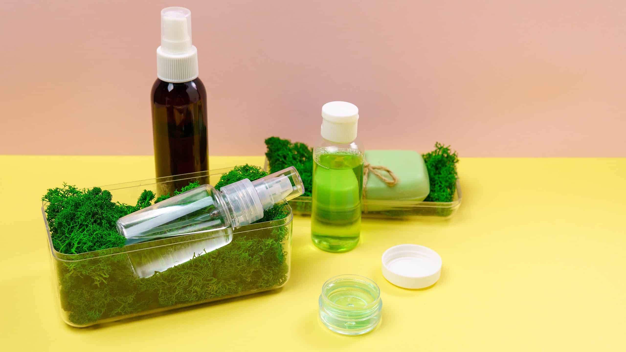 Sea moss and ingredients for skin care, including soap, and lotion.