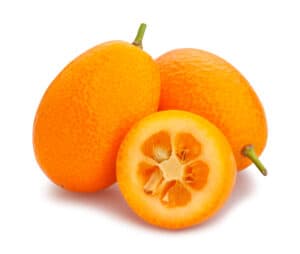 Kumquat vs. Calamansi Picture