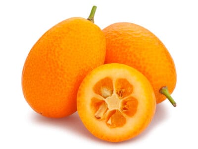 A Kumquat vs. Calamansi