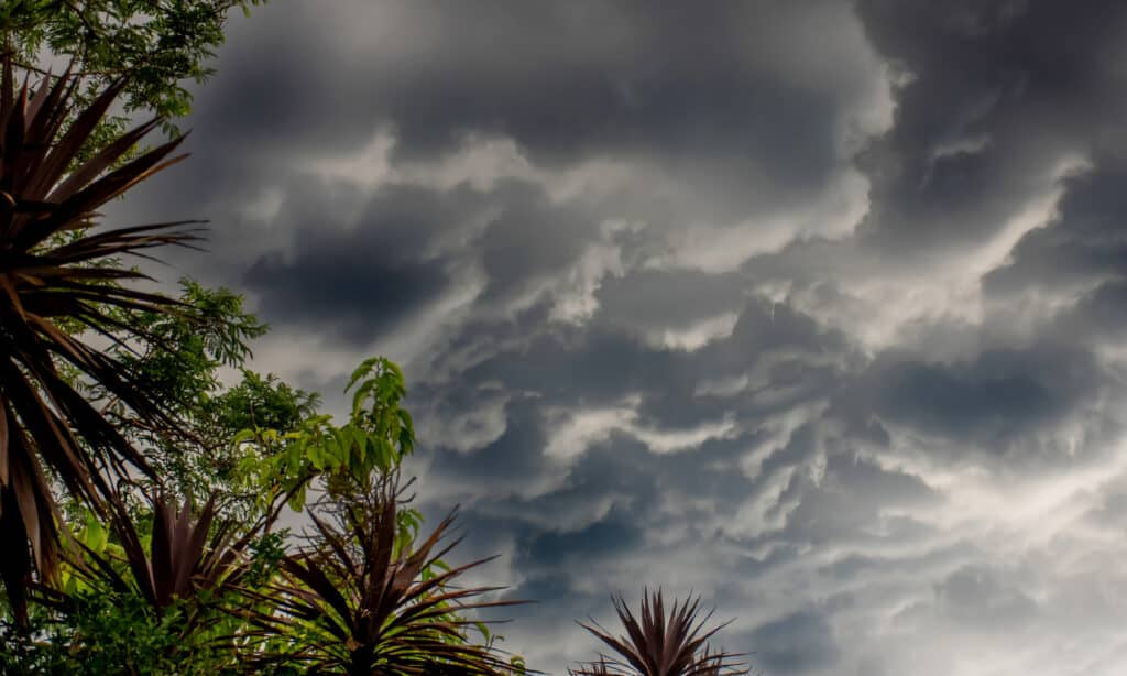 La Niña, Rain, Queensland, Storm, Flood