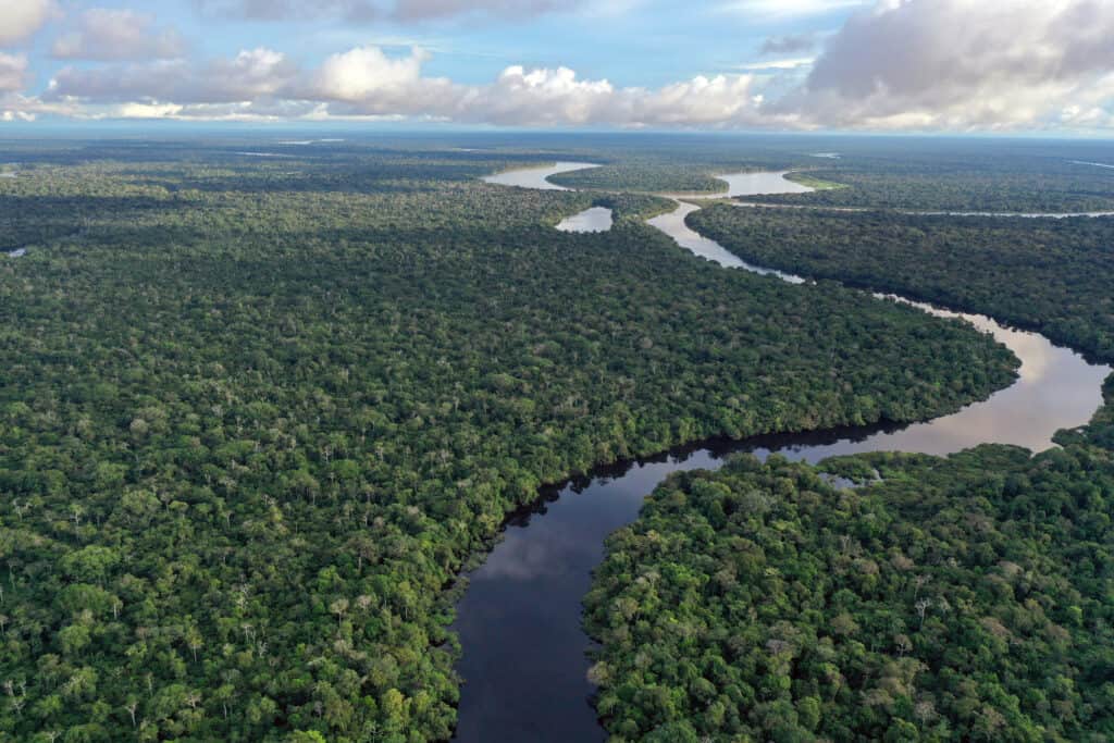 The Amazon River is the world's biggest river