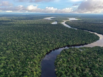 A How Long Would It Take a Person to Swim the Entire Amazon River?
