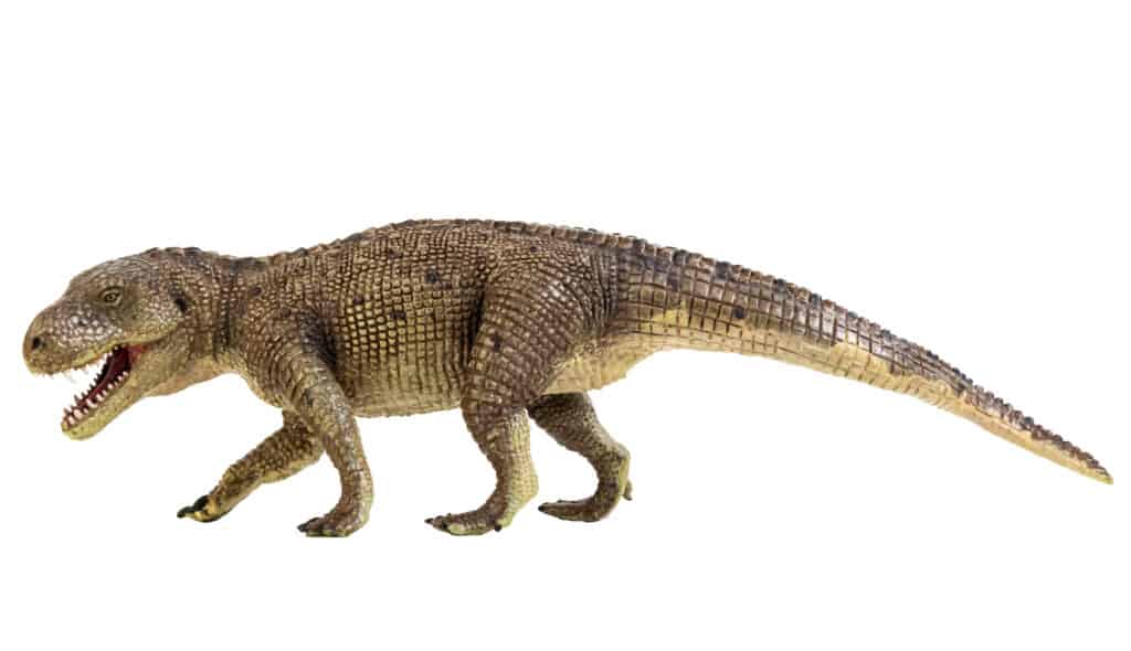 Postosuchus Dinosaur on white background Clipping path