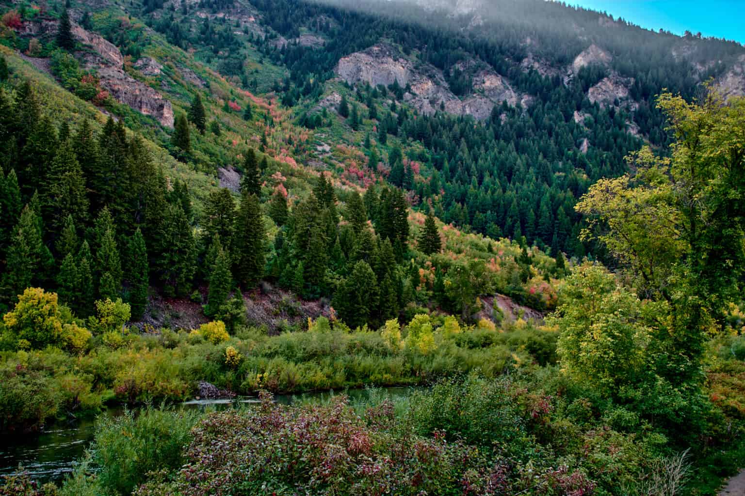 the-longest-biking-trail-in-utah-az-animals