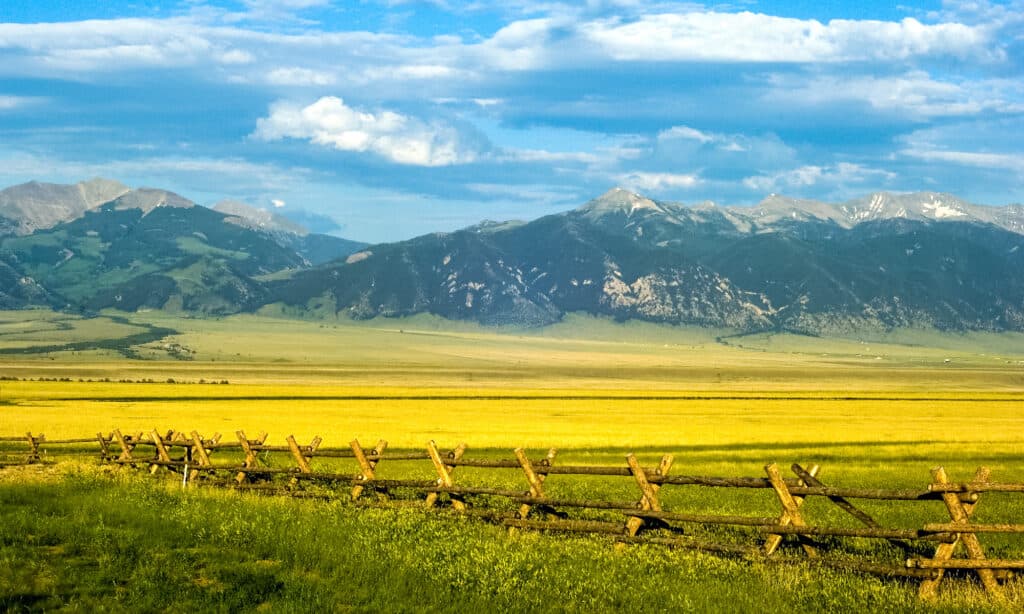 Montana - Western USA, Ranch, Landscape - Scenery, Farm, Wild West