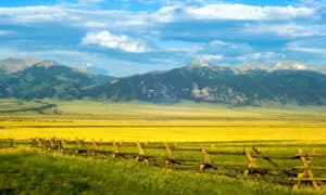 Meet the 10 Largest Land Owners in Montana Picture