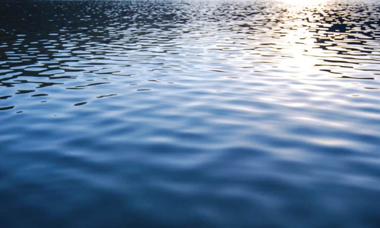Lake, Water, Water Surface, Backgrounds, Close-up