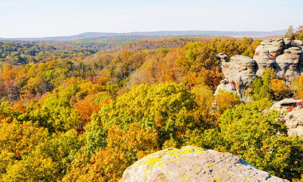 Shawnee National Forest in Illinois