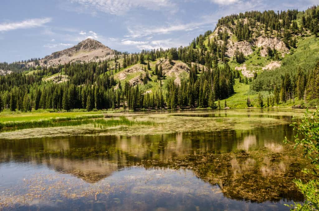 The Wasatch Mountains reflected in Utah's Silver lake.
