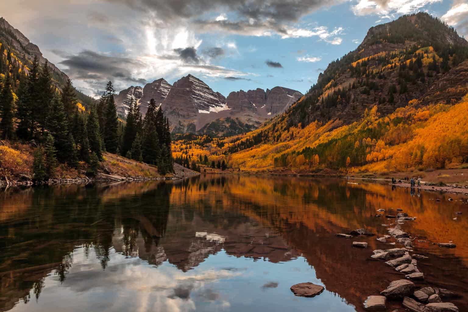 Discover the Largest Forest in Colorado (And What Lives Within It) - A ...