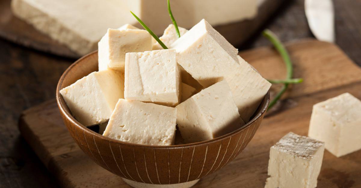 is tofu safe for dogs