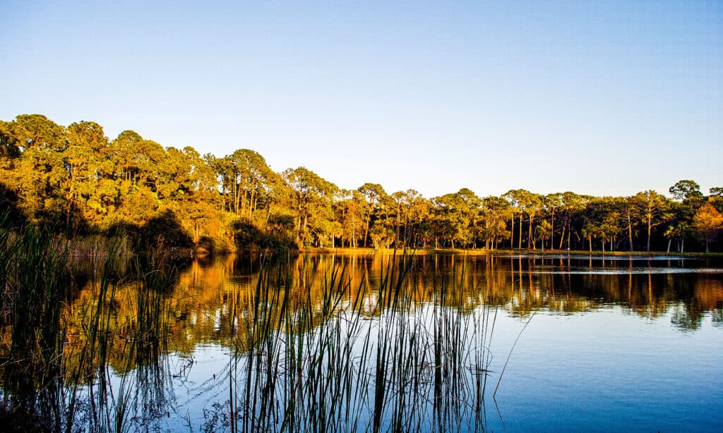 Seminole Lake 