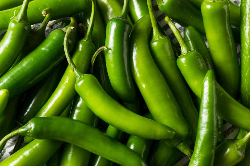 Serrano pepper