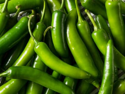 A Scoville Scale: How Hot Is a Serrano Pepper?