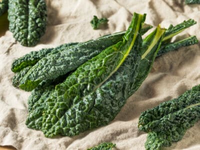 A Tuscan Kale vs. Kale
