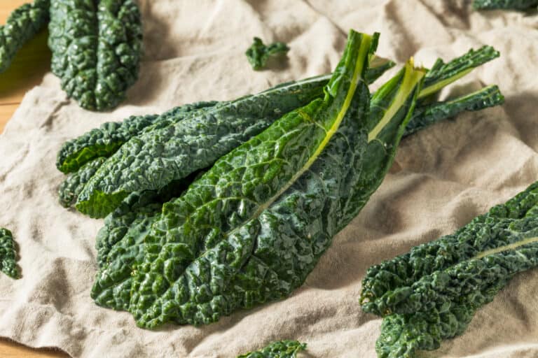 Tuscan kale (aka Lacinato kale)
