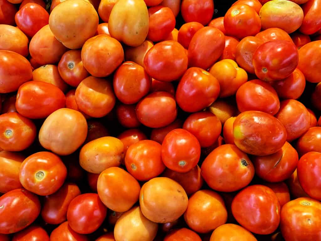 Celebrity tomato, pile of fruit.